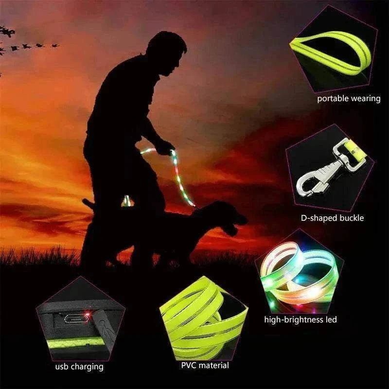laisse et collier LED pour chien imperméables rechargeables sécurité nocturne haute visibilité
