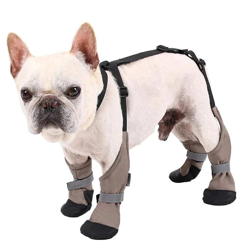 Bottes imperméables pour chiens | Protection, confort & style en promenade