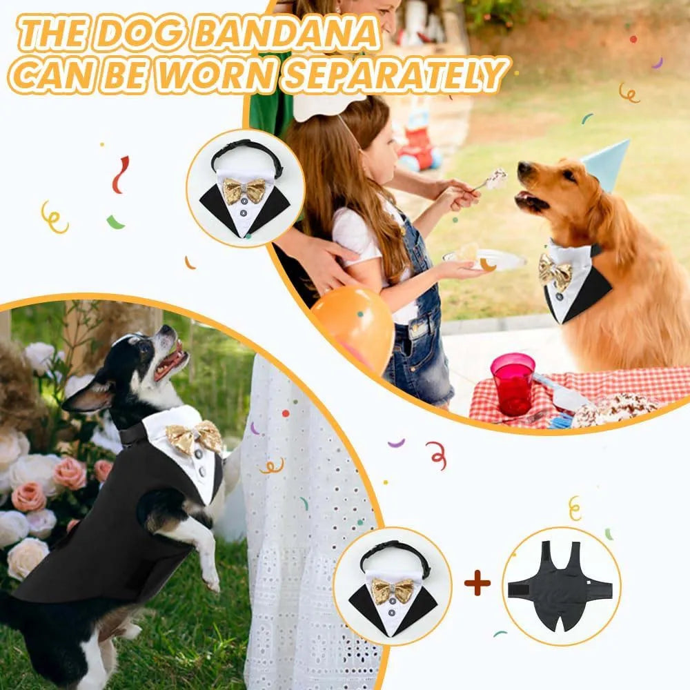 Dog Tuxedo for wedding élégant pour grands chiens | Puppy Chic