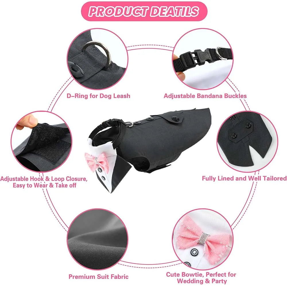Dog Tuxedo for wedding élégant pour grands chiens | Puppy Chic