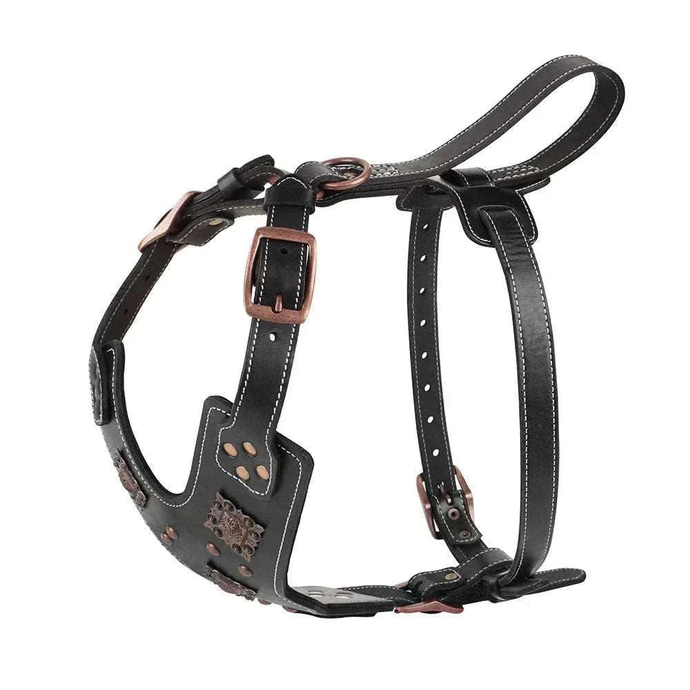 harnais en cuir véritable noir pour chiens moyens et grands avec sangles ajustables et bouclerie métallique robuste pour dressage et promenade