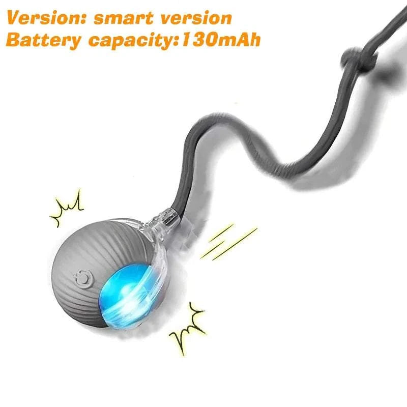 Balle de Jeu Automatique pour Chiens | Jouet interactif anti-ennui & rechargeable