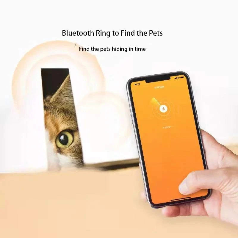 Application mobile affichant les données du collier connecté Bluetooth