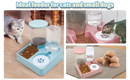 Ensemble Distributeur Automatique pour Chats - 2 en 1 Incliné avec Nourriture et Eau, Alimentation Gravité