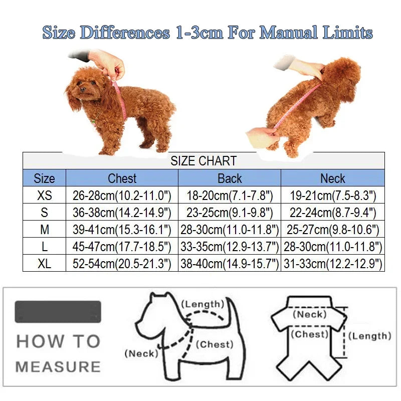 Robe de Luxe pour Petit Chien | Costume Cosplay Princesse pour Yorkshire et Chat