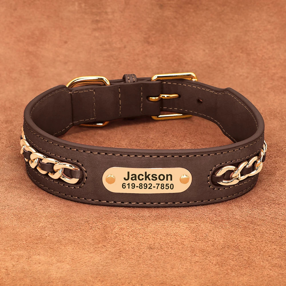 Collier en Cuir Personnalisé | Plaque d’Identification Gravée pour Chiens