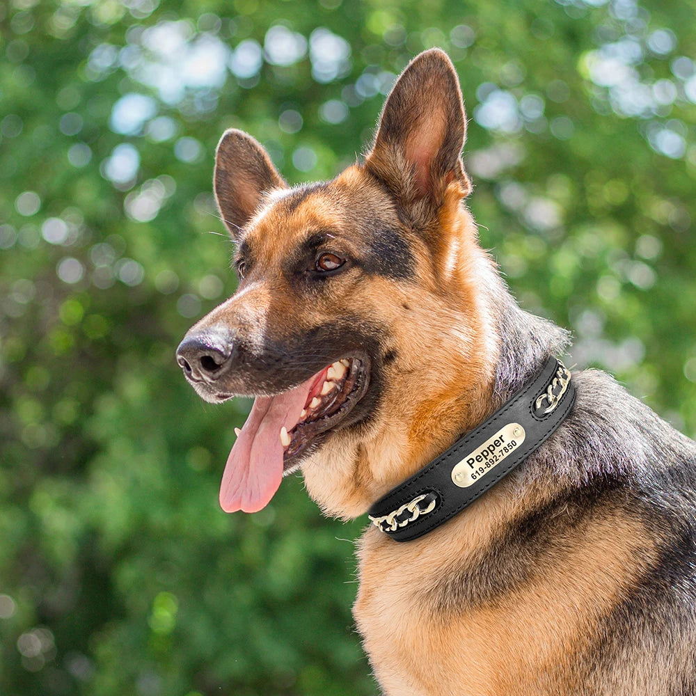 Collier en Cuir Personnalisé | Plaque d’Identification Gravée pour Chiens