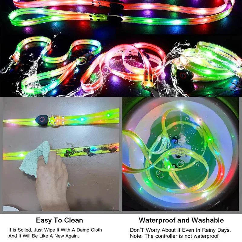 Laisse et collier LED pour chien, imperméable, rechargeable USB, haute visibilité nocturne, nettoyage facile, sécurité promenade nuit