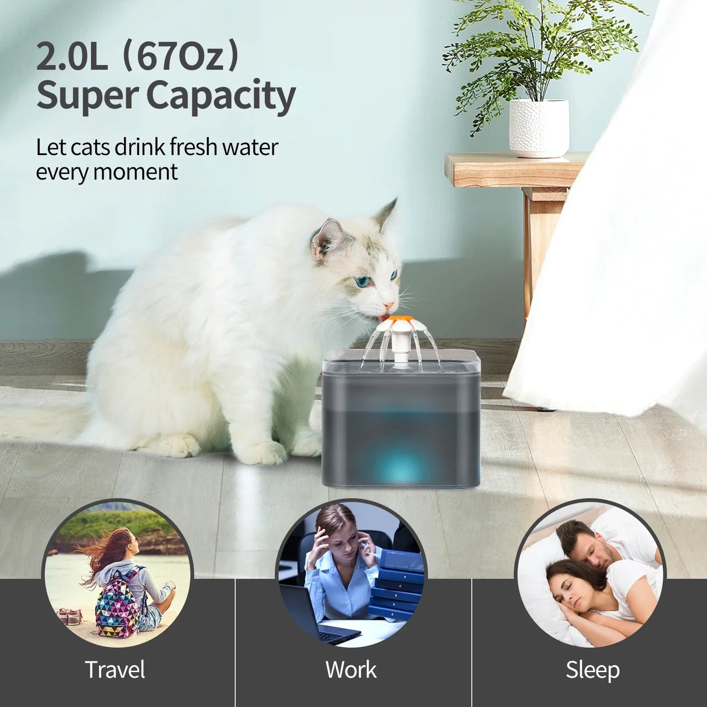 Fontaine à Eau pour Chats et Petits Chiens - 2L Ultra Silencieuse avec Éclairage LED et Distribution Automatique