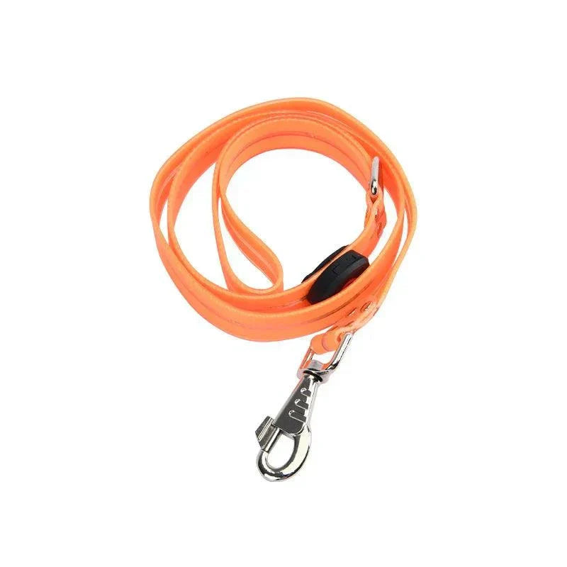 laisse LED orange pour chien, sécurité nocturne, imperméable et rechargeable par USB