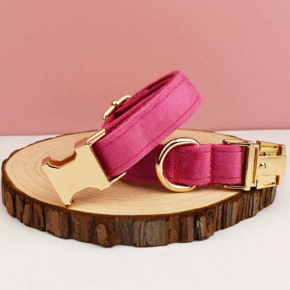 Collier en velours rose pour chien avec fermeture dorée, personnalisable et sécurisé, adapté aux chiens moyens et grands.