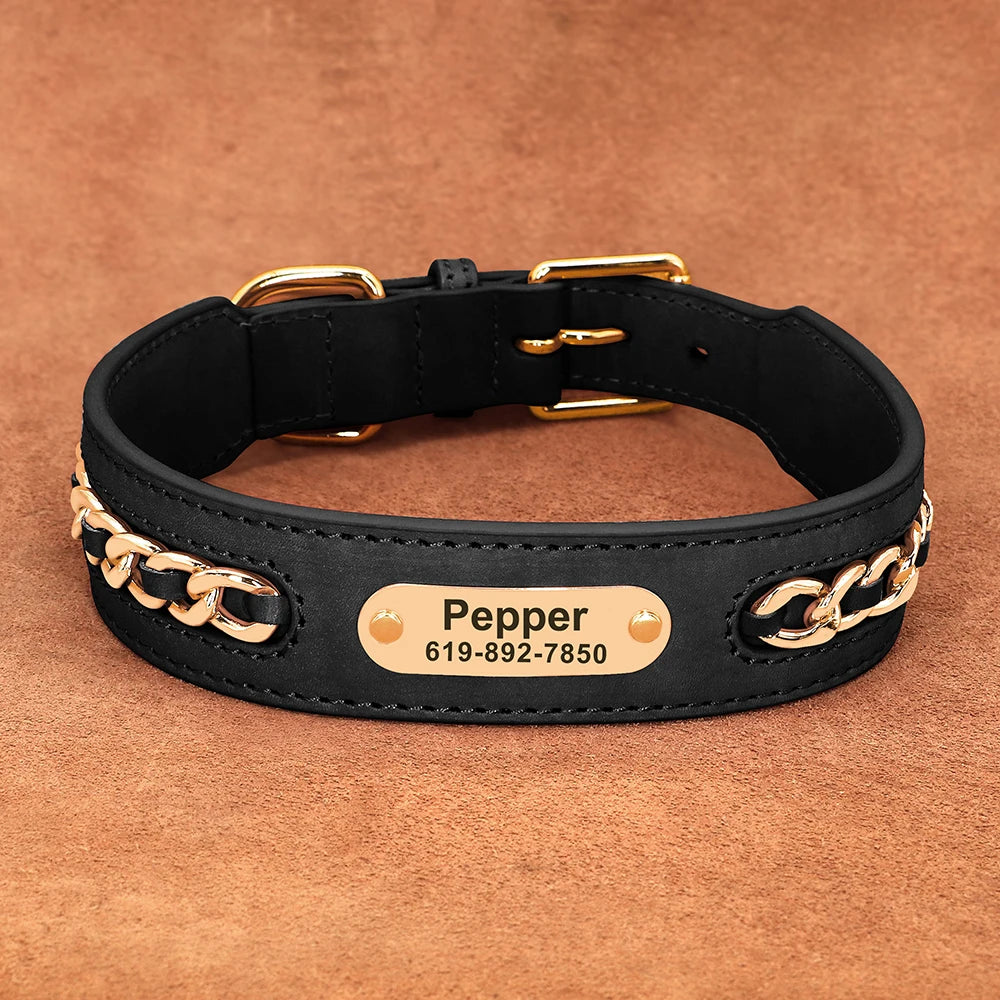 Collier en Cuir Personnalisé | Plaque d’Identification Gravée pour Chiens
