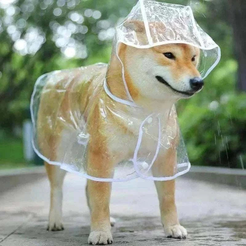 Imperméable Transparent à Capuche pour Petit Chien - Poncho PVC Souple, Léger & 100 % Imperméable