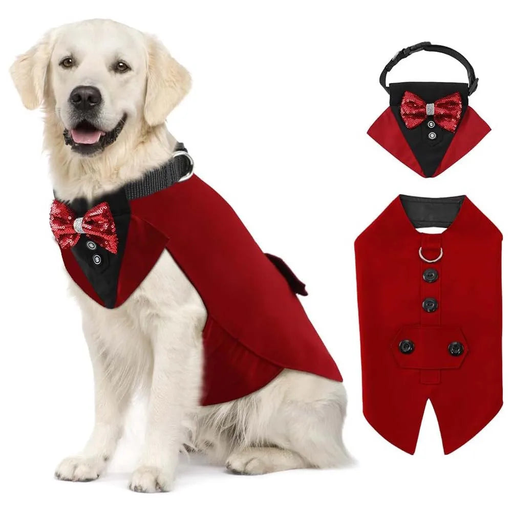 Dog Tuxedo for wedding élégant pour grands chiens | Rouge vin