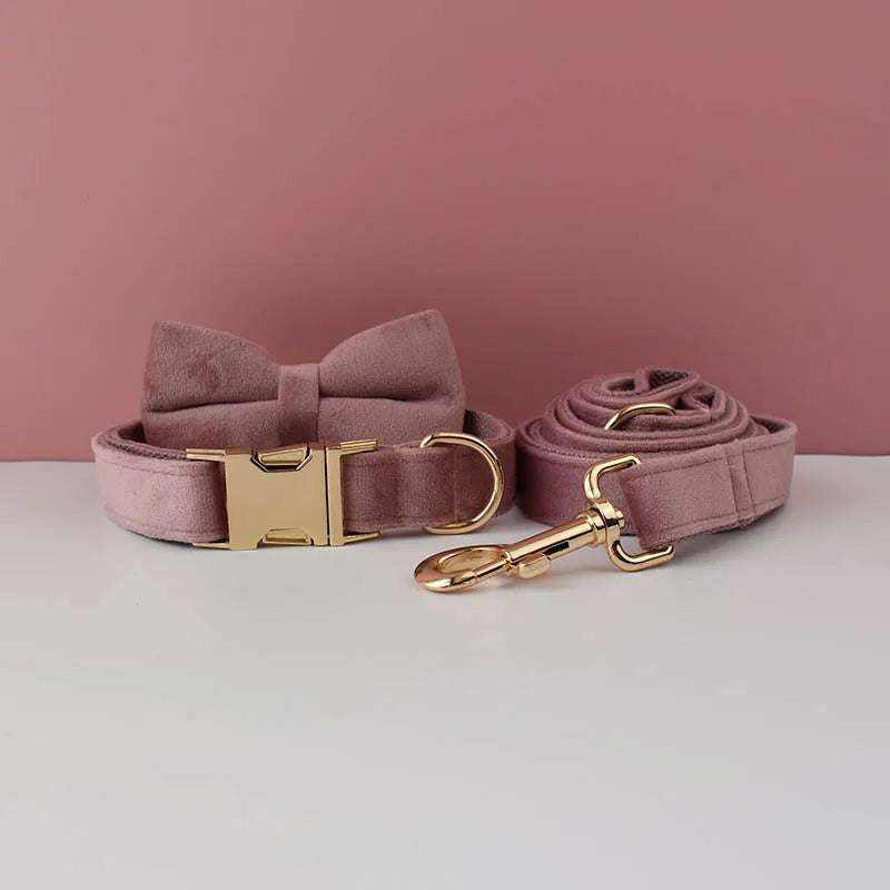 collier et laisse en velours rose pour chien avec noeud papillon et fermeture dorée élégante pour chiens moyens et grands