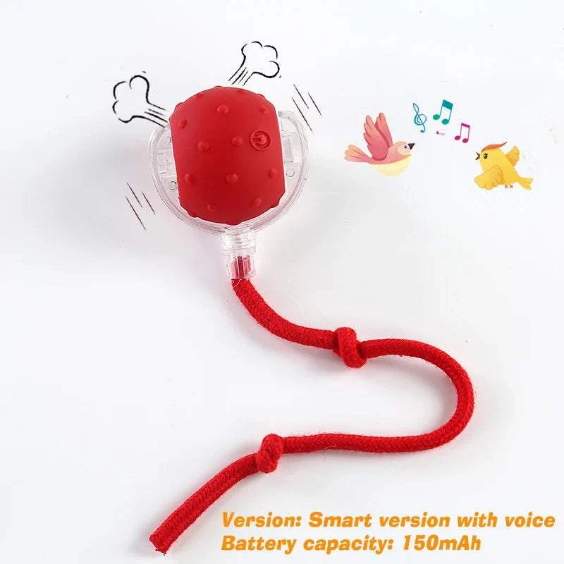 Balle de Jeu Automatique pour Chiens | Jouet interactif anti-ennui & rechargeable