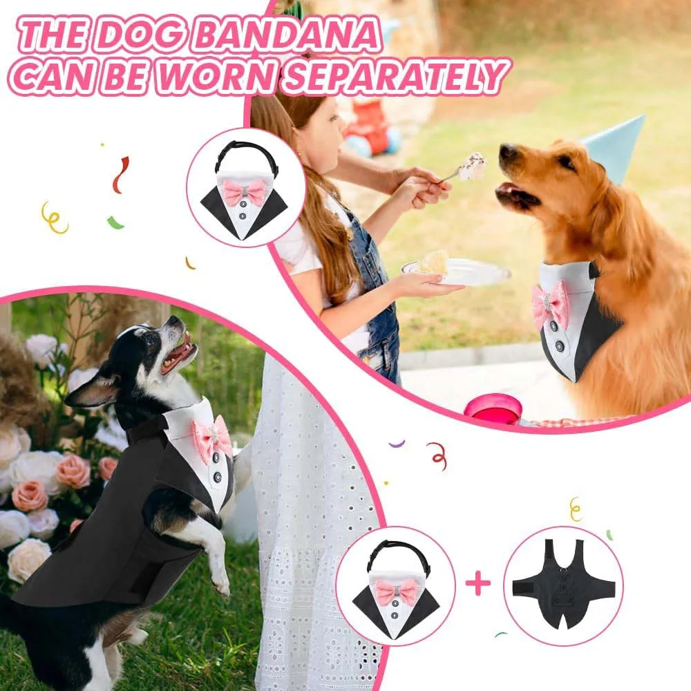 Dog Tuxedo for wedding élégant pour grands chiens | Puppy Chic