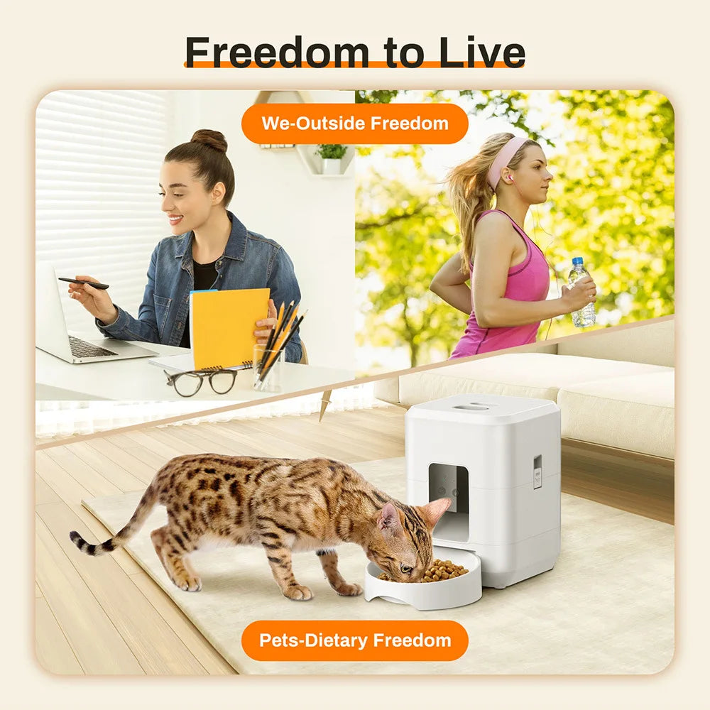 Distributeur Automatique Intelligent Petavista - Version Bouton/WiFi pour Nourriture pour Chats et Chiens