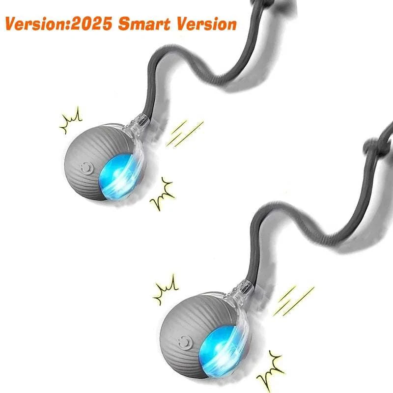 Balle de Jeu Automatique pour Chiens | Jouet interactif anti-ennui & rechargeable