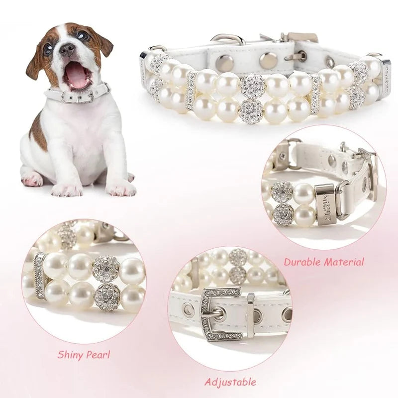 Collier et Laisse de Luxe pour Animaux | Ensemble en Cuir PU