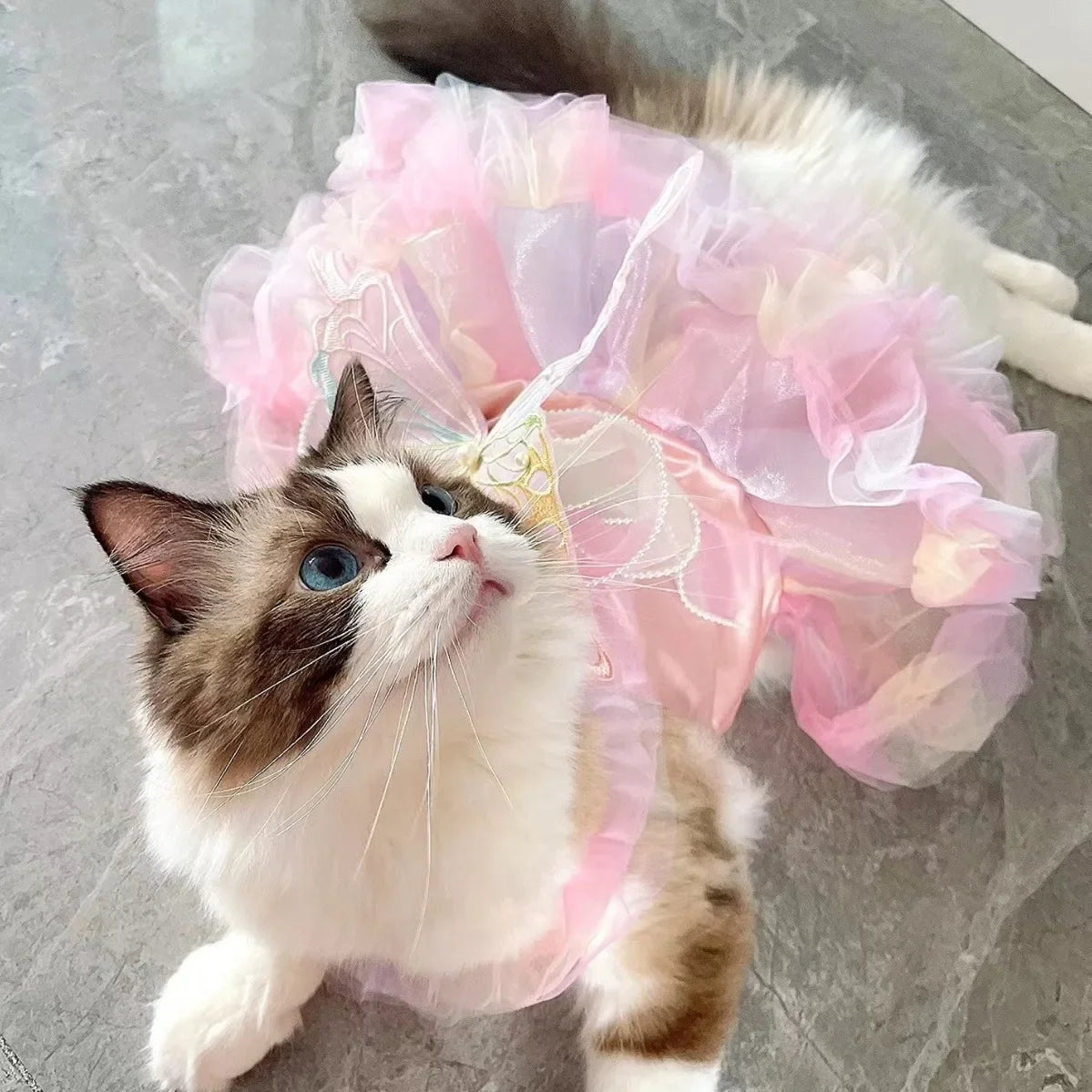 Spring Princess Dress for Dogs &amp; Cats | Royal Elegance &amp; Comfort