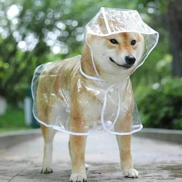 Transparent Hooded Raincoat for Small Dogs - Soft, Lightweight & 100% Waterproof PVC Poncho