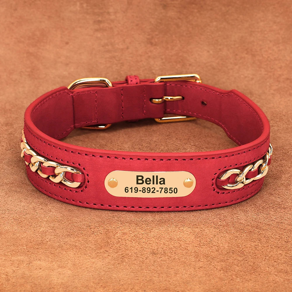 Collier en Cuir Personnalisé | Plaque d’Identification Gravée pour Chiens