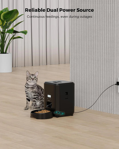 Distributeur Automatique Intelligent Petavista - Version Bouton/WiFi pour Nourriture pour Chats et Chiens