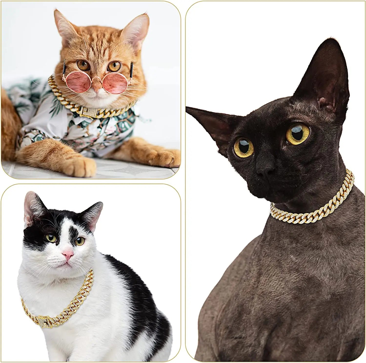 Collier Cubain Doré pour Chat | Bijou de Luxe Strass pour Mariage & Cosplay