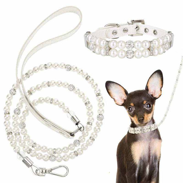 Collar y correa de lujo para mascotas | Conjunto de cuero PU