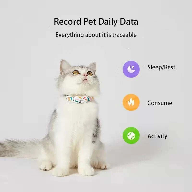 Chat équipé d’un collier connecté Bluetooth étanche et léger
