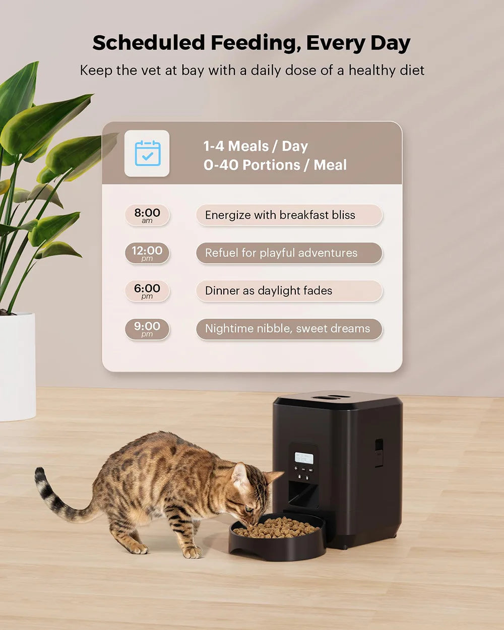 Distributeur Automatique Intelligent Petavista - Version Bouton/WiFi pour Nourriture pour Chats et Chiens