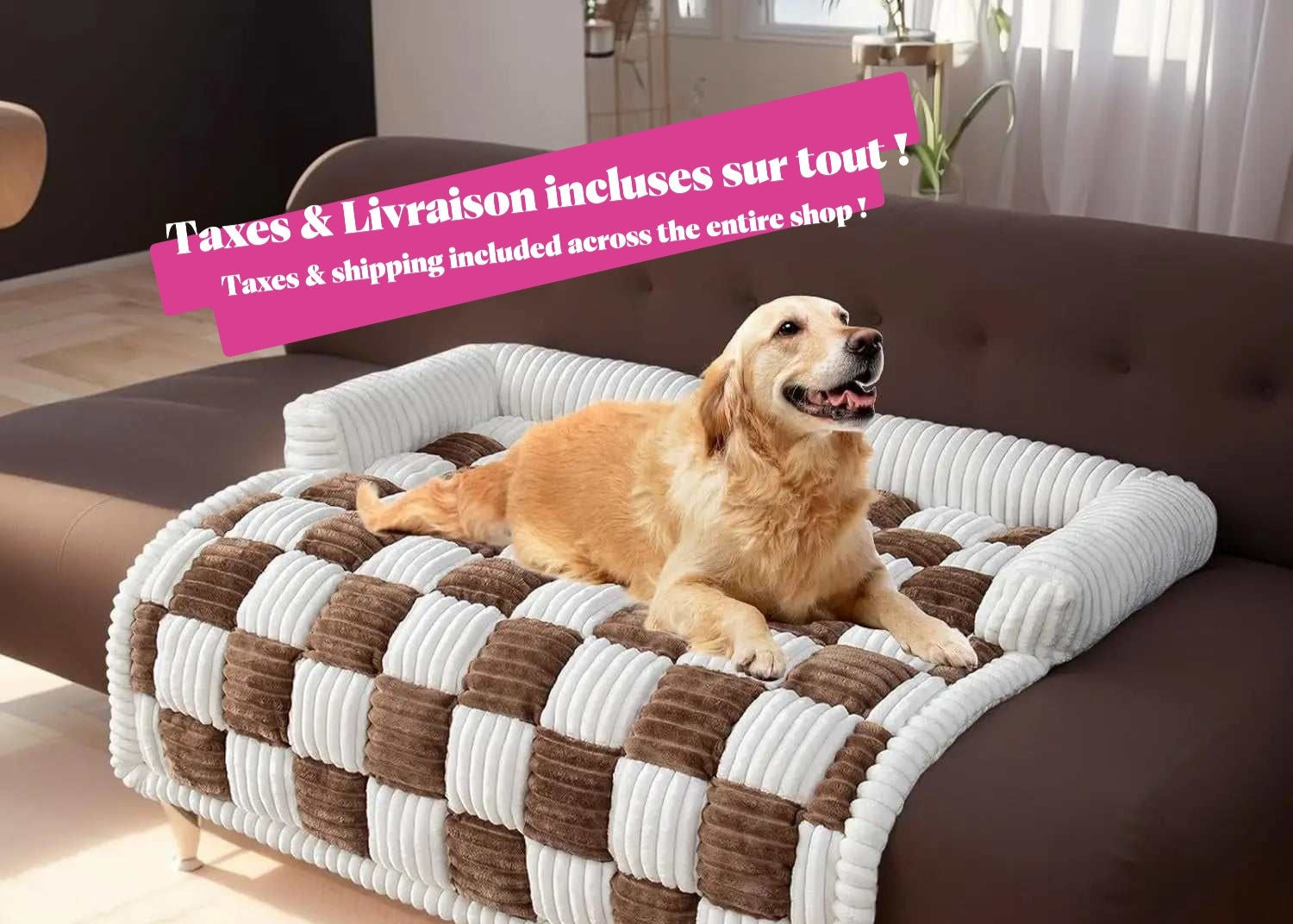 Le chien se repose sur le tapis confortable brun, dans un salon.