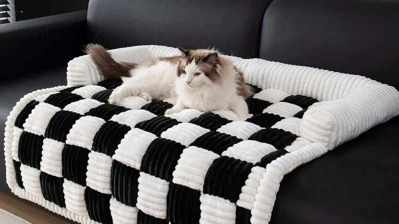 tapis à carreaux noir et blanc doux et rembourré pour chien avec bordure, posé sur canapé avec un chat blanc et beige allongé dessus