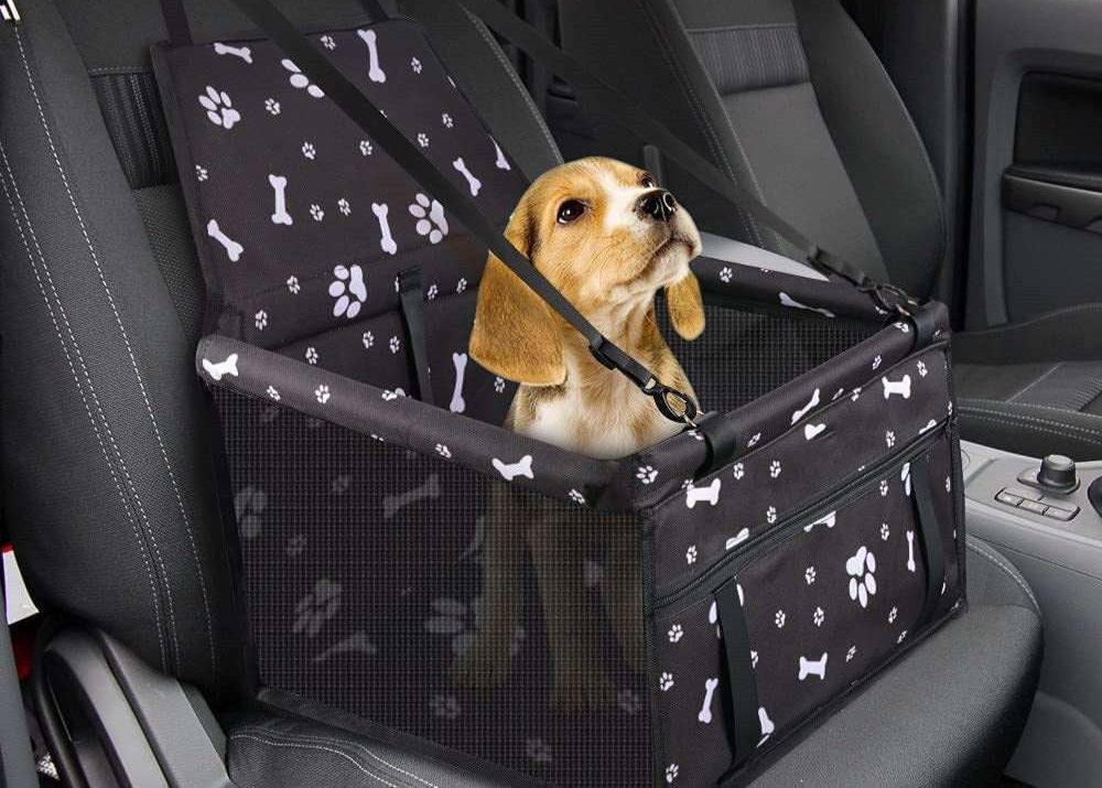 Chien dans un panier de transport dans la voiture.