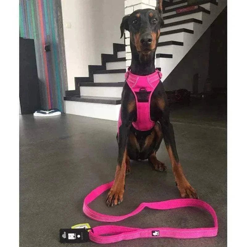 Laisse chien Truelove 110 cm rembourrée en nylon fuchsia avec coutures réfléchissantes 3M pour sécurité et confort