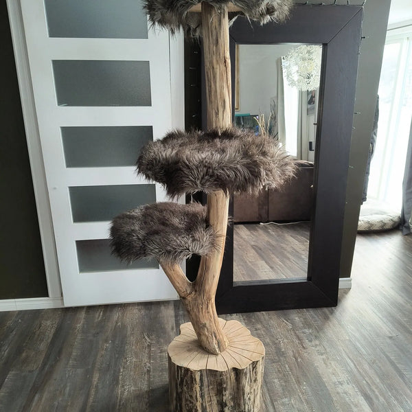 Handcrafted Natural Wood Cat Trees | Elegance & Durable Comfort