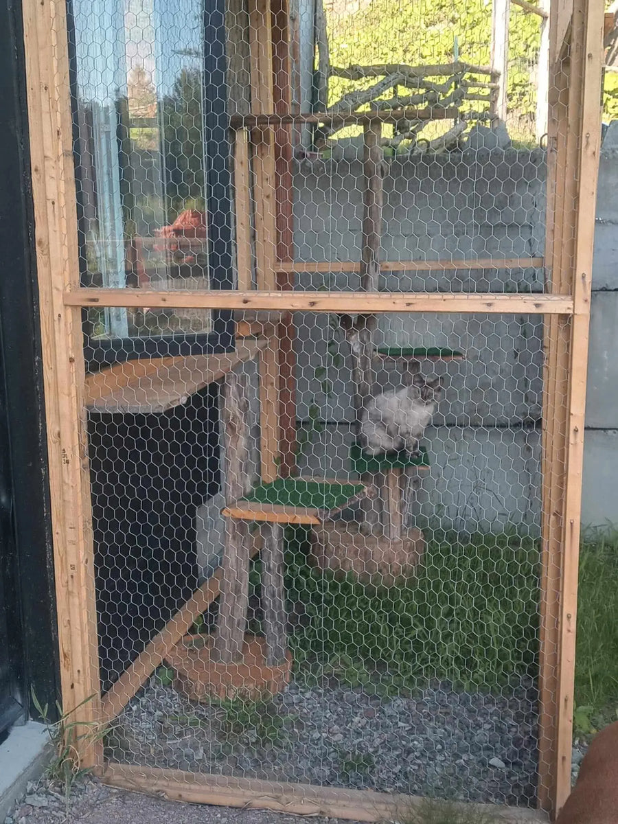 Arbre à Chat Artisanal en Bois Naturel | À partir de 450$