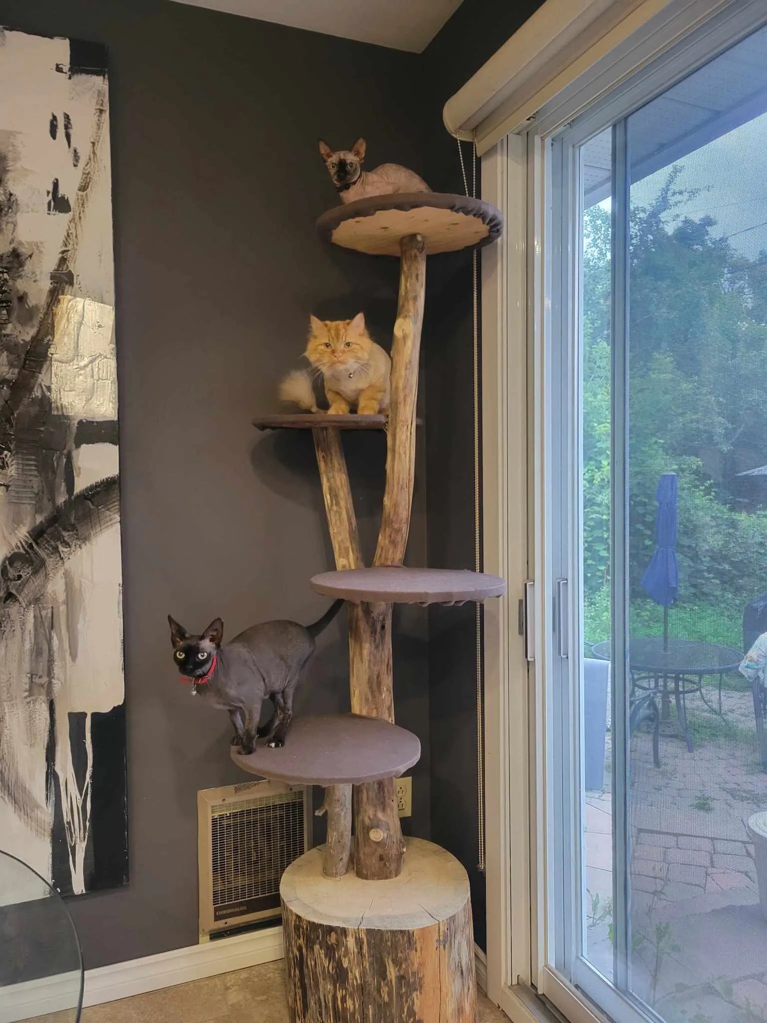Handcrafted Natural Wood Cat Trees | Elegance & Durable Comfort