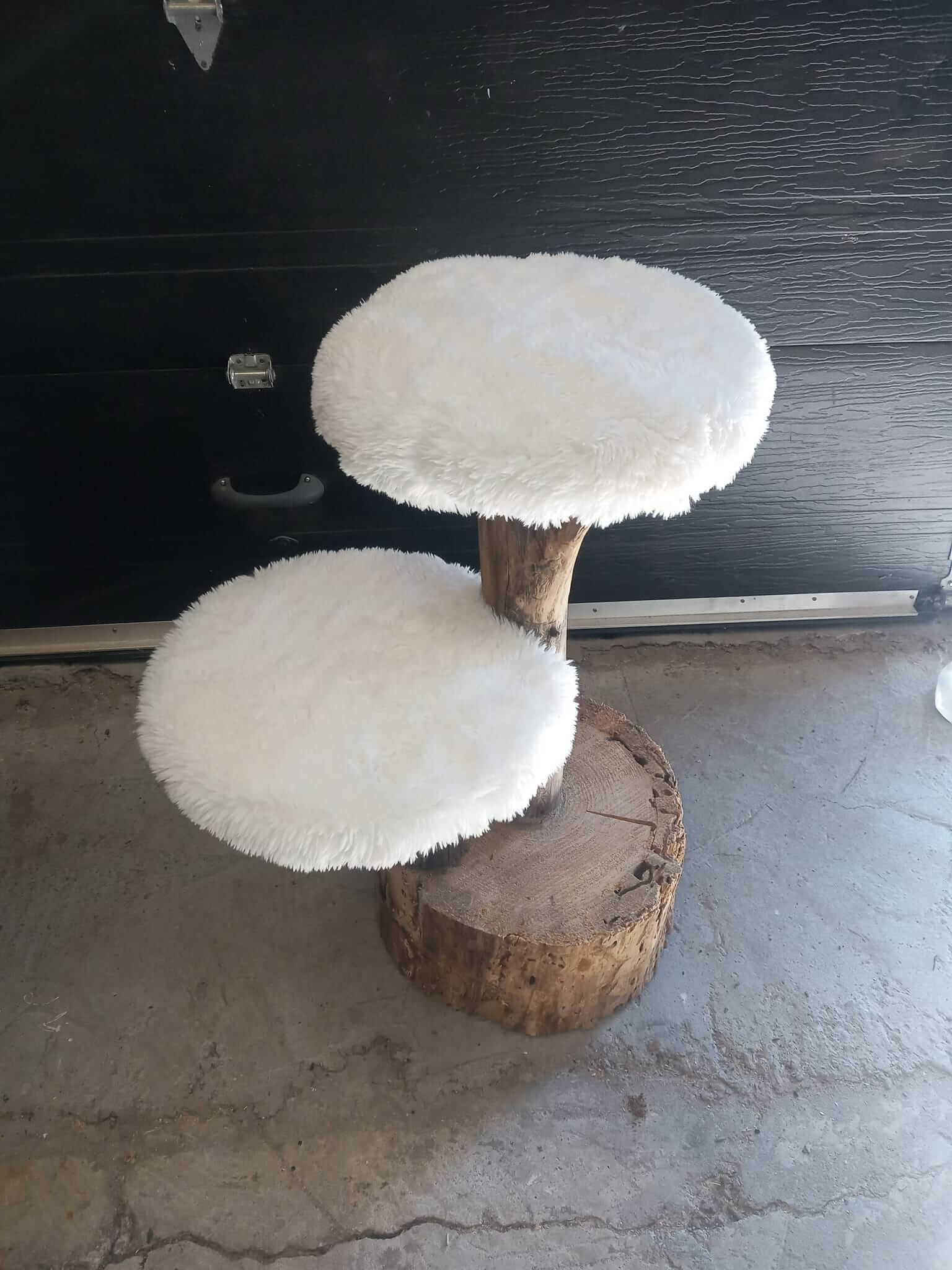 Petit arbre à chat compact avec 2 plateformes blanches - Modèle entrée de gamme - Base souche - Talie Québec