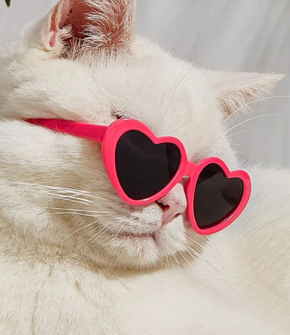 Lunettes de Soleil pour Chats - Accessoires de Jouets pour Animaux