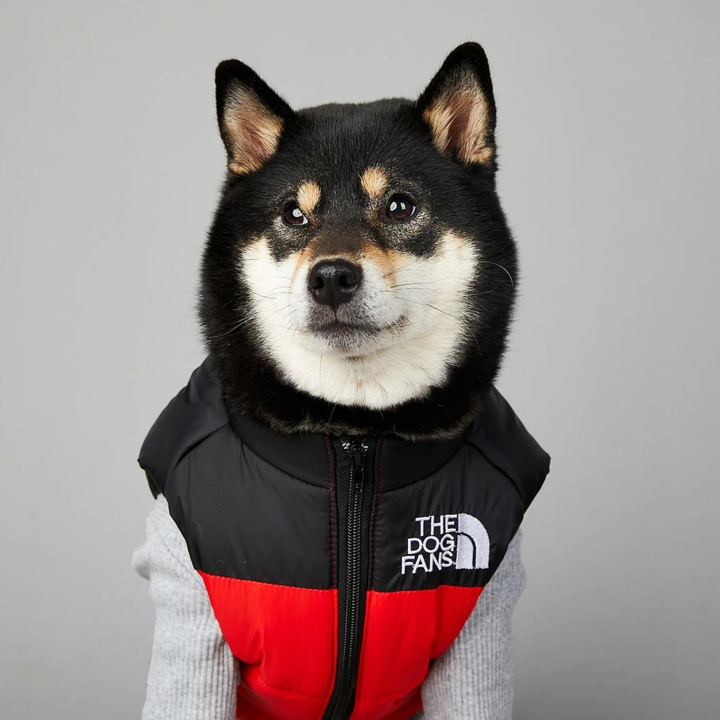 Veste d'Hiver Rembourrée pour Chien - Polyester Chaud et Confortable