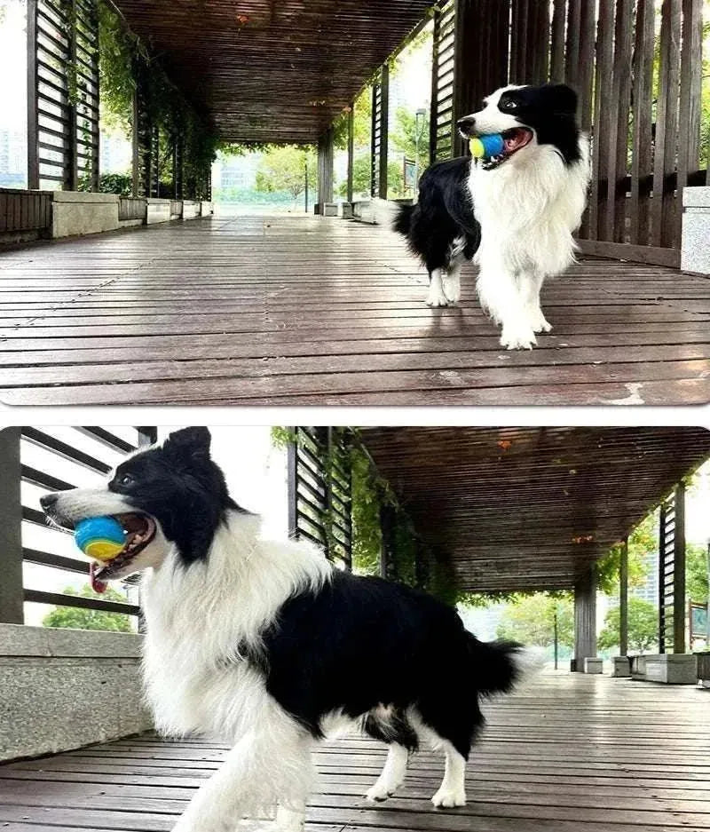 TPR Chewable Ball for Dogs | Dental Cleaning & Interactive Toy