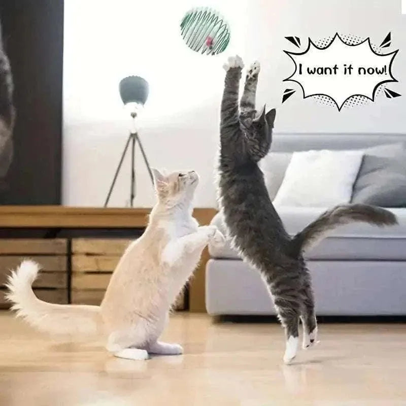 Pelotas de juguete interactivas para gatitos | Estimulación y entretenimiento