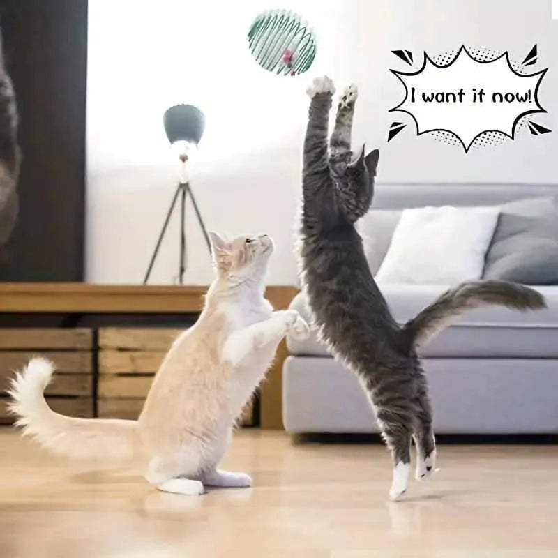 Pelotas de juguete interactivas para gatitos | Estimulación y entretenimiento