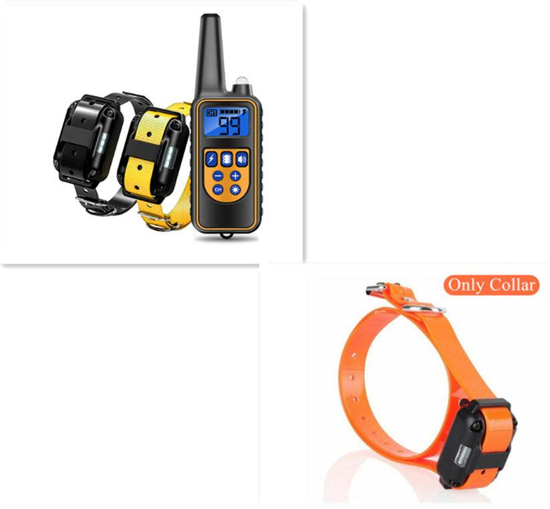 Collier de Dressage pour Chien avec Télécommande