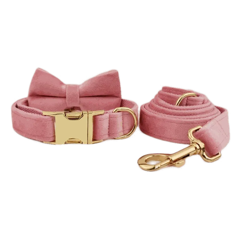 Velvet Dog Collar | Free Engraving for Medium and Large Dogs