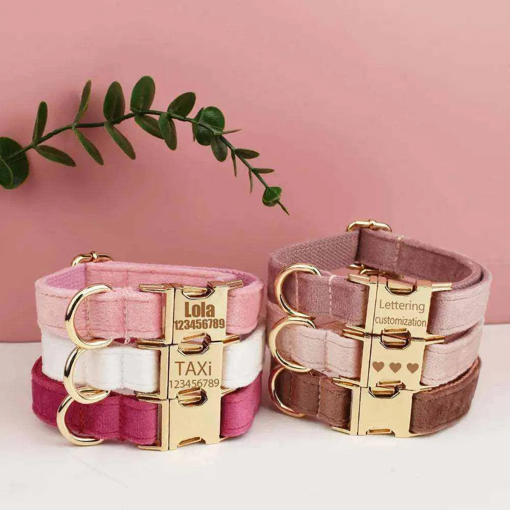 Velvet Dog Collar | Free Engraving for Medium and Large Dogs