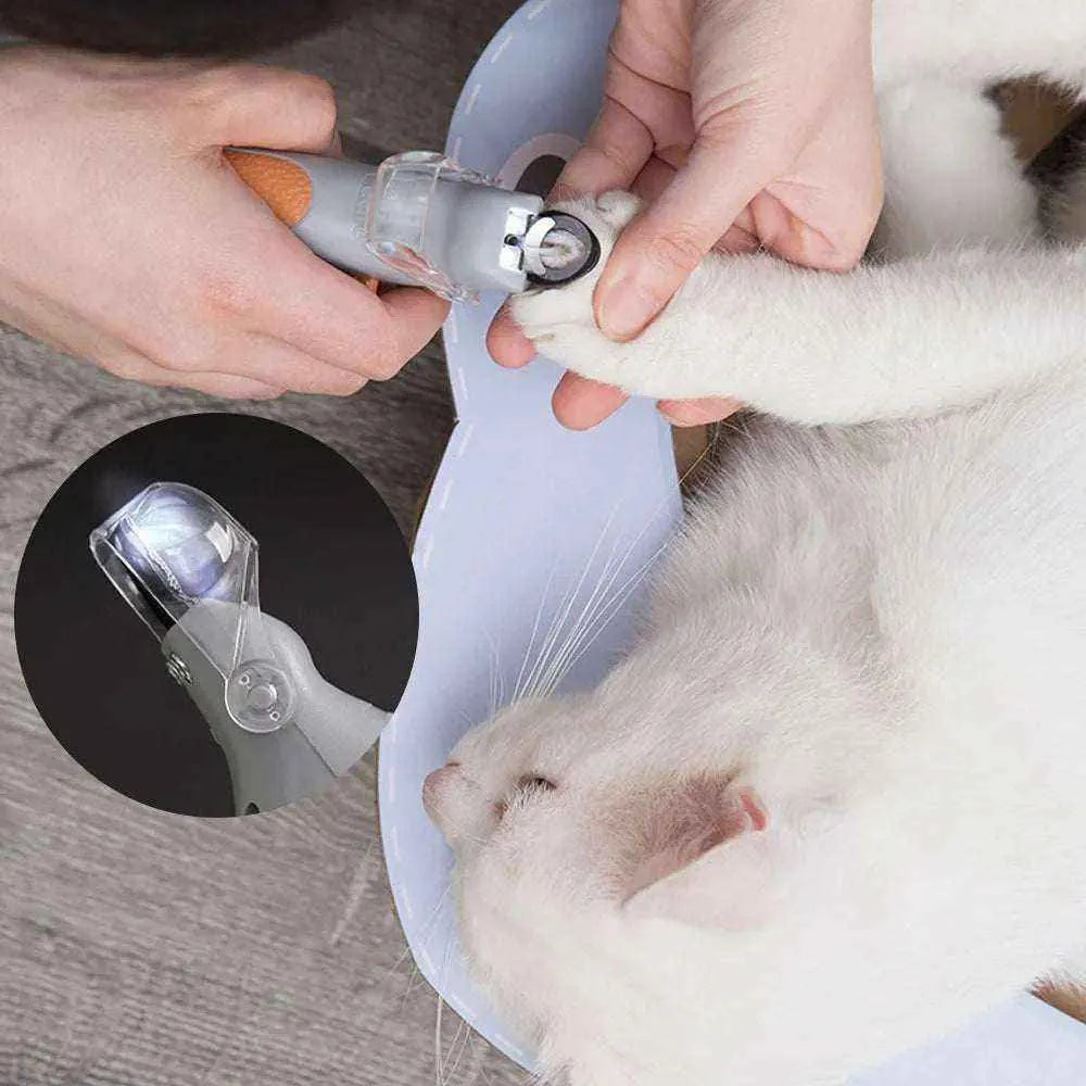 Coupe-Griffes LED pour Animaux | Précision & Sécurité