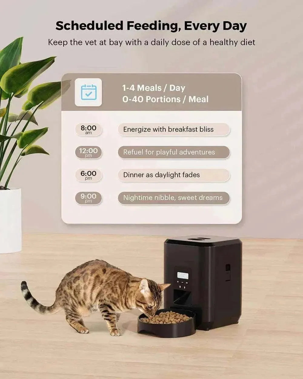 Distributeur automatique intelligent Petavista | Nourriture programmée & connectée